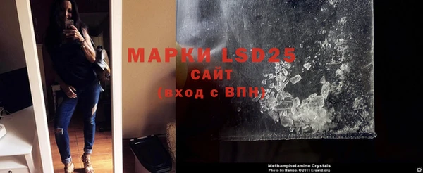 крисы Новодвинск