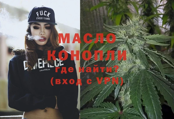 крисы Новодвинск
