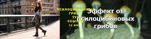 крисы Новодвинск