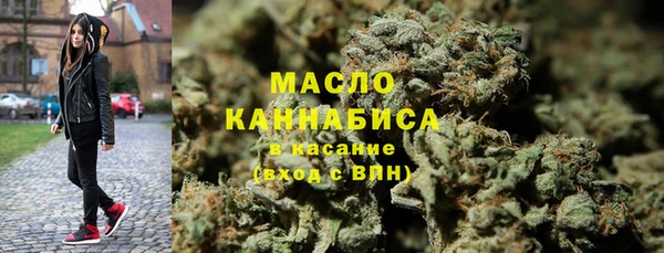 крисы Новодвинск