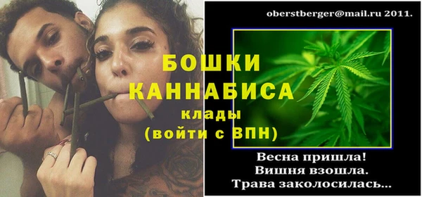 крисы Новодвинск