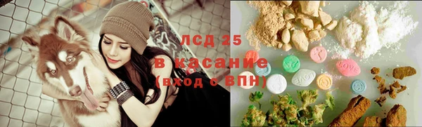 крисы Новодвинск