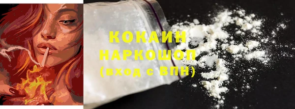 ешки Новозыбков